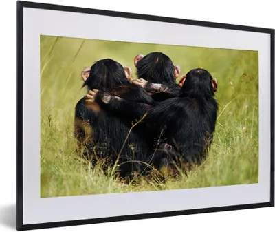Produktbild von MuchoWow® MuchoWow® Gerahmtes Poster Affe - Gras - Tiere 60x40 cm - Poster mit zchwarzem Bilderrahmen - Schlafzimmer - Plakat in Rahmen - Drucken