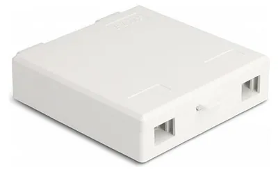 Imagen del producto de Caja de conexión de fibra óptica Delock para montaje en pared, para 2 conectores SC simplex o LC dúplex, color blanco
