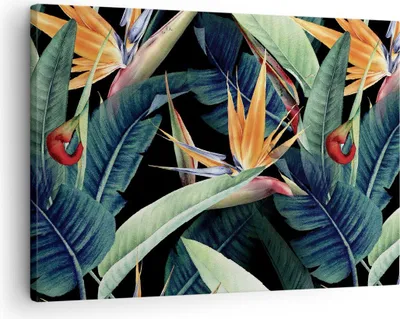 Produktbild von Bild auf Leinwand - Leinwandbild - Einteilig - Pflanze Tropisch Blume - 70x50cm - Wand Bild - Wanddeko - Wandbilder - Leinwanddruck - Bilder - Wanddekoration - Leinwand bilder - AA70x50-5093