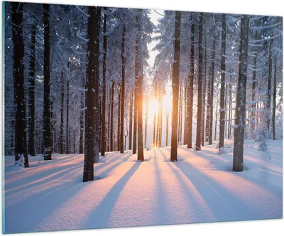 Produktbild von Bilder auf glas - Wald Winter Schnee - 100x70cm - Glasbilder - Wandbilder - Kunstdruck - zum Aufhängen bereit - Wanddekoration aus Glas - Glas Bilder - Wandbild auf Glas - Einteilig - GAA100x70-3629
