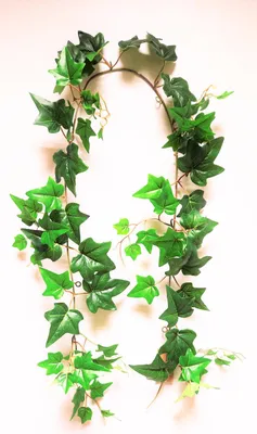 Produktbild von artplants.de Deko Efeu Girlande MAIDYS, grün, 150cm - Künstliche Efeugirlande