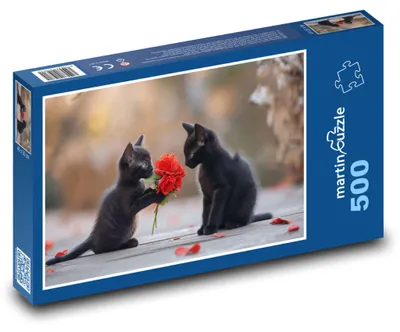 Obrázek produktu pro Puzzle 500 Roztomilá černá koťata - martinpuzzle