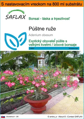 Obrázok produktu pre SAFLAX Garden in the bag - púštne ruže - Adenium obesum - 8 Semená - S pestovateľským substrátom v praktickom samostaviteľnom vrecku