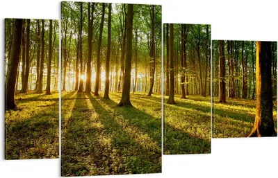 Produktbild von Bild auf Leinwand - Leinwandbild - Wald grün Sonnenstrahlen Natur - 120x70cm - Wand Bild - Wanddeko - Leinwanddruck - Bilder - Kunstdruck - Wanddekoration - Leinwand bilder - Wandkunst - DL120x70-2510