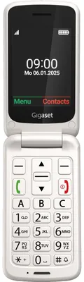 Image de Gigaset GL595 Argent