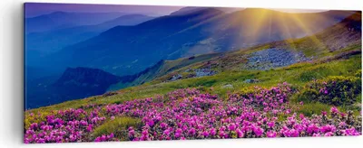 Produktbild von Bild auf Leinwand - Leinwandbild - Wiese Berge Landschaft - 140x50cm - Wand Bild - Wanddeko - Leinwanddruck - Bilder - Kunstdruck - Wanddekoration - Leinwand bilder - Wandkunst - AB140x50-2676
