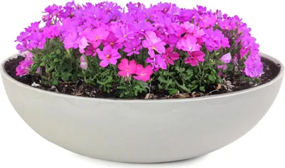 Produktbild von Pflanzschalen für draussen Dekoschalen rund beige grau 37 cm