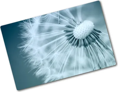 Produktbild von Tulup Glas Herdabdeckplatte - 80x52 cm - Glaskeramikkochfeld-Abdeckung Spritzschutz Glasabdeckplatte - Einteilig - Blumen & Pflanzen - Pusteblume - Blau