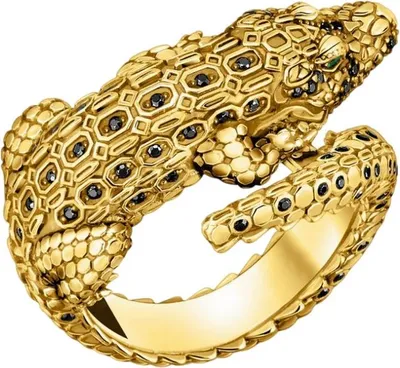 Produktbild von Thomas Sabo - TR2421-971-7-62 - Ring - Uni - Rebel at Heart - Weite 62