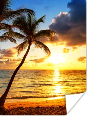 Produktbild von MuchoWow® Poster Strand - Horizont - Sonnenuntergang - Palme - Meer 90x120 cm - Wohnzimmer