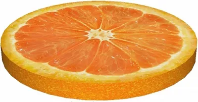 Produktbild von Bertoni RING Stuhlkissen 4x40cm ORANGE