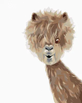 Image de Zuty - Peinture par numéros - LAMA, 40 x 50 cm, sans cadre et sans toile tendue