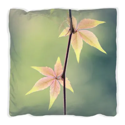 Produktbild von Wallario Premium Kissen, weiche Oberfläche, mit Motiv Herbstblume, Größe: 40 x 40 cm, mit weißer Rückseite