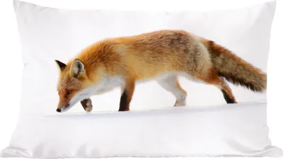 Produktbild von MuchoWow® Zierkissen Sofakissen Wohnzimmer Dekokissen 60x40 cm Fuchs - Schnee - Weiß - Kopfkissen - Polster mit Foto