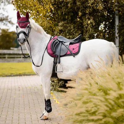 Produktbild von QHP Schabracke Zahra, Farbe:Weinrot, Größe:Vielseitigkeit