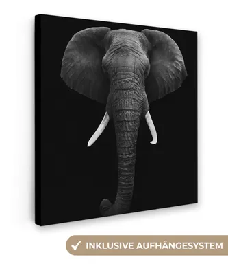 Obrázek produktu pro OneMillionCanvasses® - Plátna - Slon - Divoká zvířata - Černá - Bílá - Portrét, Nástěnné umění, Nástěnné dekorace Obývací pokoj, 90x90cm
