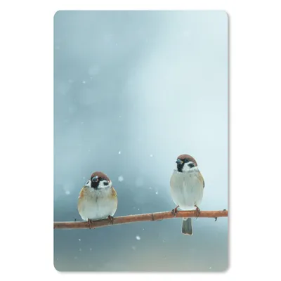 Produktbild von MuchoWow® Mauspad Mousepad Vögel - Spatz - Schnee - Winter 18x27 cm - Mousepads - Maus Mat - Pad - Mausunterlage