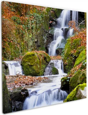 Produktbild von Wallario Premium Leinwandbild Bach im Wald in Größe 50 x 50 cm