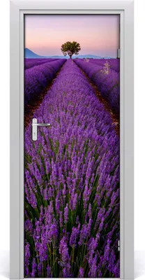 Produktbild von Tulup Türaufkleber 75x205 cm Dekorative Aufkleber Selbstklebend Wasserdichte Tapete Abnehmbar Schlafzimmer Wohnzimmer Wohnkultur - Lavendelfeld