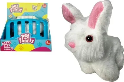 Image de Lapin dans une cage de transport