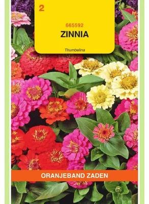 Imagen del producto de Semillas de Zinnia elegans "Thumbelina" (mezcla de colores), 1 paquete