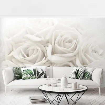 Produktbild von Fototapete Blumen - Vliestapete - Bildtapete UV-beständig Rose weiss Motiv Wandtapete geruchsfrei