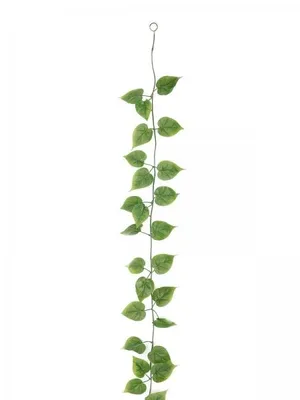 Produktbild von Sonderposten EUROPALMS Philodendrongirlande , künstlich, 180cm,