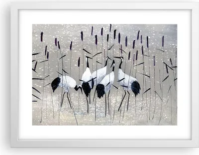 Produktbild von Gerahmtes Poster - Weißer Rahmen - Vogel Natur Wasser - 40x30 cm - Wand Bild - Wanddeko - Wandbilder - Kunstposter - Wandposter - Bilderrahmen - Bilder - Kunstdruck - Wandbild - P2WAA40x30-3687