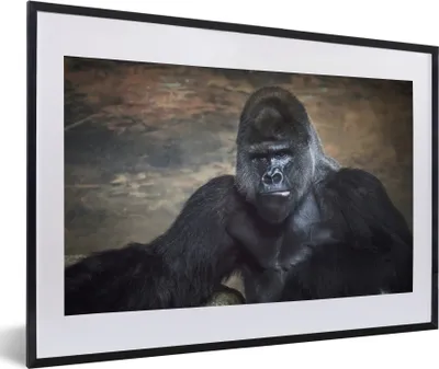 Produktbild von MuchoWow® MuchoWow® Gerahmtes Poster Porträtbild eines schwarzen Gorillas 60x40 cm - Poster mit zchwarzem Bilderrahmen - Schlafzimmer - Plakat in Rahmen - Drucken