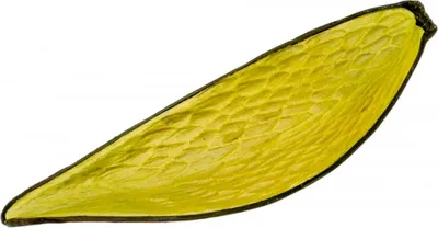 Produktbild von Canoinha kiwi