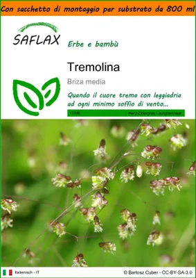Immagine prodotto di SAFLAX Garden in the bag - Tremolina - 75 semi - Briza
