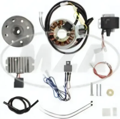 Produktbild von MZ Lichtmagnetzündanlage 6V 100W mit integrierter vollelektronischer Zündung für ES175-300 / 0 / 1 / 2 und ETS250
