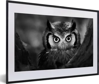 Produktbild von MuchoWow® Gerahmtes Poster Vogel - Eule - Porträt - Schwarz - Weiß 60x40 cm - Poster mit Schwarzem Bilderrahmen Wandposter Rahmen Foto Bilder - Schlafzimmer - Plakat in Rahmen - Drucken