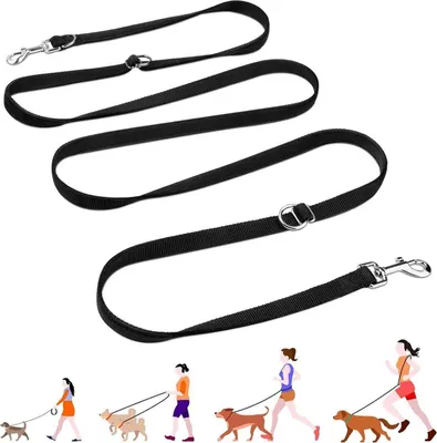Image de PETCOOZ Laisse pour chien Laisse à pister réglable avec mousqueton, double laisse pour chien