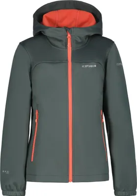 Image de Vestes Icepeak 551896694I
