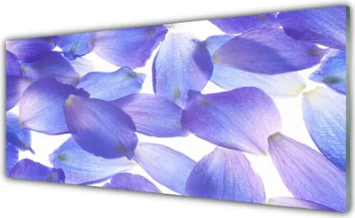 Produktbild von Küchenrückwand aus Glas 125x50cm Spritzschutz Blütenblätter Pflanzen