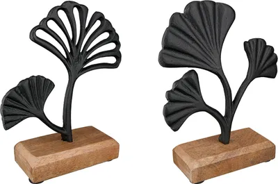 Obrázek produktu pro Žilková plastika "Ginkgo" v. 26 cm 51710
