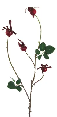 Produktbild von Künstlicher Hagebutten-Zweig 86cm 4er Set. Beerenzweig, Hagebutte, ROT