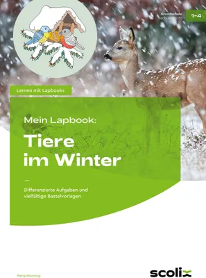 Produktbild von Mein Lapbook: Tiere im Winter