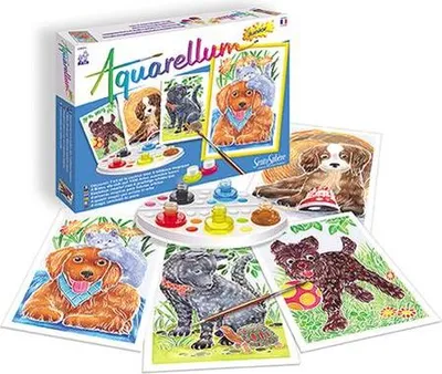 Produktbild von SentoSphere 698, 7 Jahr(e), Junge/Mädchen, Frankreich, Multi, 13 Stück(e), Kind
