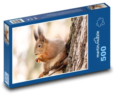 Obrázok produktu pre martinpuzzle – Puzzle 500 – Vevericka