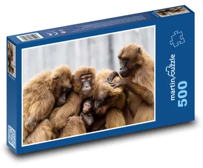 Obrázek produktu pro Puzzle 500 Opice - rodina primátů - martinpuzzle