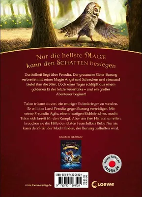 Produktbild von Der letzte Feuerfalke und der Stein der Macht (Band 1)