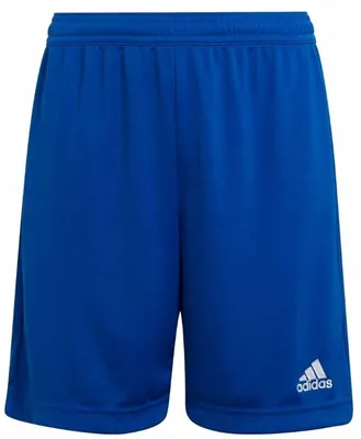 Produktbild von adidas Entrada 22 Fußball Shorts Herren AD8R - royblu M