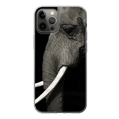 Produktbild von MuchoWow® Handyhülle Schutzhülle Hülle für iPhone 12 Pro Elefant - Tier - Stoßzahn Silikon Softcase Handy Hülle - Abdeckung