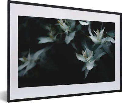 Produktbild von MuchoWow® Gerahmtes Poster Eukalyptuszweige auf dunklem Hintergrund 60x40 cm - Poster mit Schwarzem Bilderrahmen Wandposter Rahmen Foto Bilder - Schlafzimmer - Plakat in Rahmen - Drucken