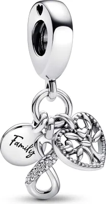 A silver charm with multiple pendants, including a heart with a tree of life, an infinity symbol with stones, and a heart-shaped tag with the word 'Family' inscribed.