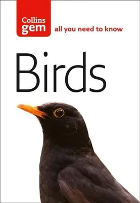 Obrázok produktu pre Birds