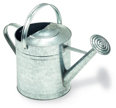 Imagen del producto de Regadera galvanizada, de 5 litros, para el riego de jardines