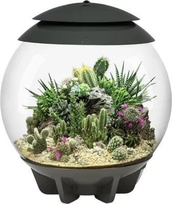 Produktbild von Automatisiertes terrarium 30l grau Oase AIR30GREY